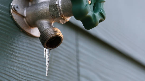 Best Faucet Repair  in Williamstown, PA